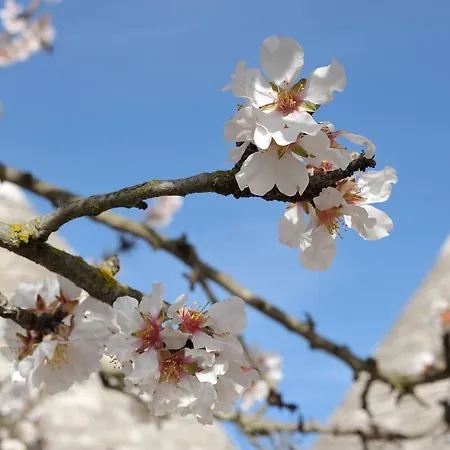 Trulli Vila Martina Franca
