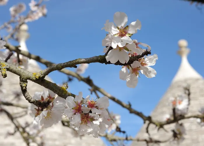 Trulli וילה מרטינה פרנקה